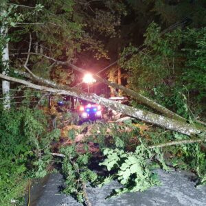 Baum auf Straße 9 Juli_4