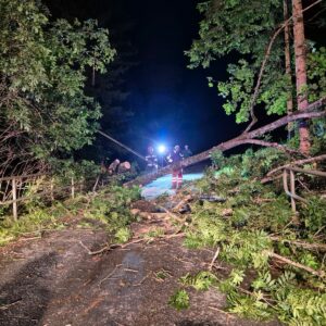 Baum auf Straße 9 Juli_5
