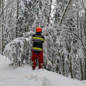 WhatsApp Image 2026-02-25 at 19.24.35