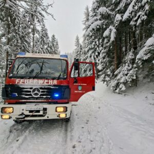 WhatsApp Image 2026-02-25 at 19.24.36.