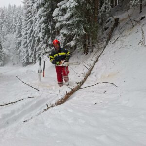 WhatsApp Image 2026-02-25 at 19.24.36__