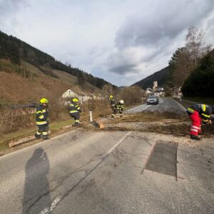 658969195_17895052002428220_1517372879403622192_n