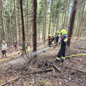 668588511_1377987457694769_4569627214713657420_n