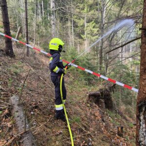 668607631_1377987587694756_8606434331484648467_n