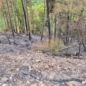 683837610_17900137293428220_2911970836026651297_n